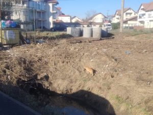 Stai în zona Tancodrom? Află cum se cheltuie peste 10,8 milioane de lei din bugetul local 2 Sursă foto: Primăria Municipiului Pitești.