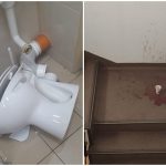 Vandalism la Filarmonica Pitești! Din 2026, regulile se schimbă radical! 14 page - Vandalism la Filarmonica Pitești! Din 2026, regulile se schimbă radical!