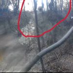 CUM să faci așa ceva? Descinderi cu mascați în Argeș: deșeuri animale aruncate direct în albia unui pârâu 10 Sursă foto: screenshot video