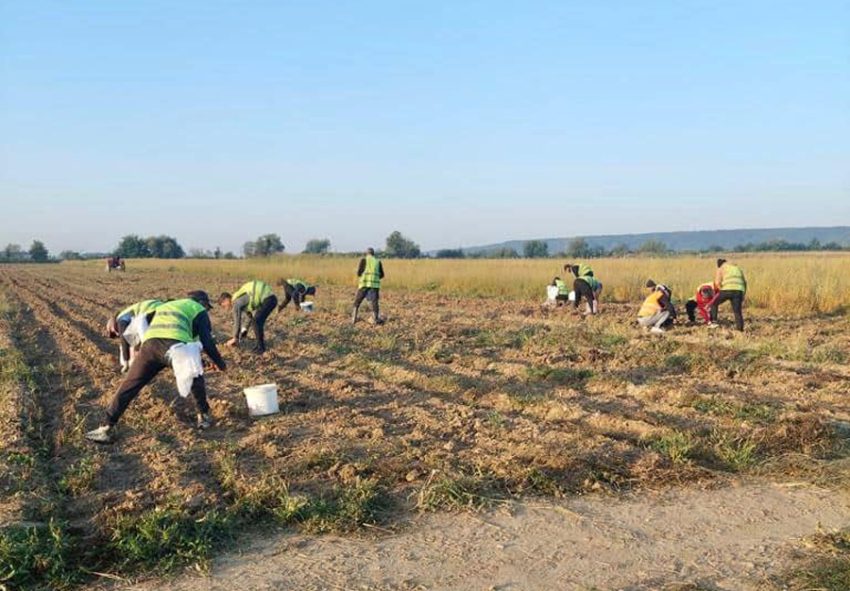 Sursă foto: FB Penitenciarul Mioveni