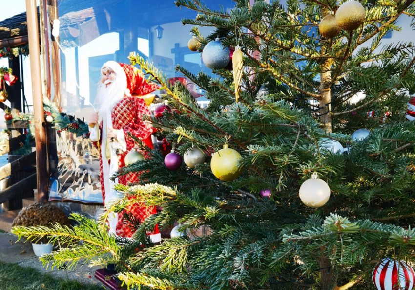 muzeul golesti deschidere 2 Sursă foto: FB Muzeul Golesti