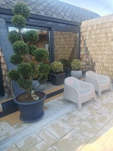 Sursă foto: FB Marcea Sport