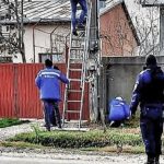 De la furt de curent la câini fără botniță: ce au găsit jandarmii argeșeni înainte de Crăciun 10 cats 1 - De la furt de curent la câini fără botniță: ce au găsit jandarmii argeșeni înainte de Crăciun