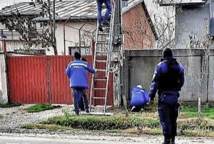 cats 1 - De la furt de curent la câini fără botniță: ce au găsit jandarmii argeșeni înainte de Crăciun