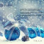 Echipa EURIAL vă urează: „Sărbători liniștite și un An Nou plin de realizări!” 10 Eurial