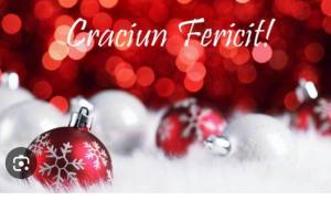 WhatsApp Image 2025 12 25 at 11.28.10 - Primăria Curtea de Argeș transmite cetățenilor: „Crăciun Fericit și La mulți ani!”