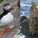 Jobul visurilor pentru iubitorii de natură: salariu de 30.000 de euro pentru 6 luni pe o insulă pustie 11 Sursă foto: wikipedia.org