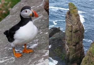 Sursă foto: wikipedia.org