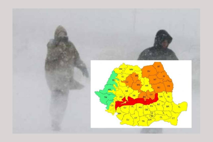 cod rosu de viscol Arges