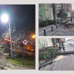 Untitled Project 7 - Intervenții ale pompierilor în Pitești. Vremea rea își spune cuvntul!