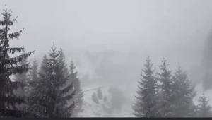 9ab1a5d8 8f10 40b1 8009 3d40c341a377 - Patru turişti din Republica Moldova au rămas blocaţi în Refugiul Călţun