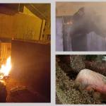 Untitled Project 1 - Reținut după ce a incendiat o platforma de gunoi din Craiovei