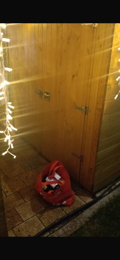 minori prinsi politia locala Pitesti