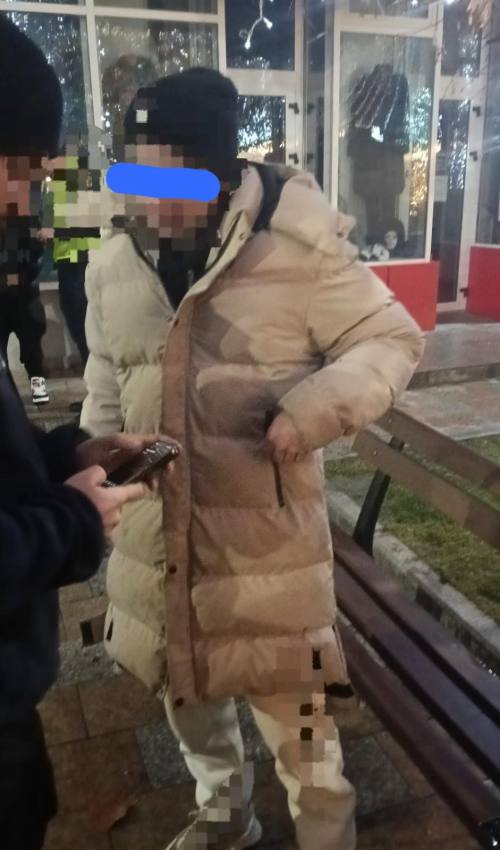 minori prinsi politia locala Pitesti