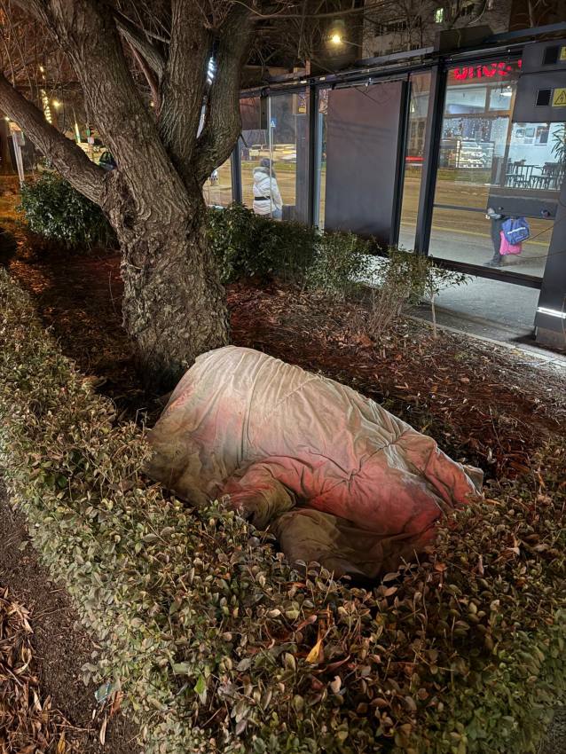 incendiu platforma gunoi Pitesti