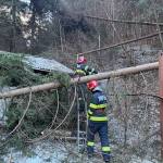 c8b30dba 3ab0 4e76 9e42 37c2426ac06d - Atenție! Copaci căzuți în Dâmbovicioara