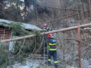 c8b30dba 3ab0 4e76 9e42 37c2426ac06d - Atenție! Copaci căzuți în Dâmbovicioara