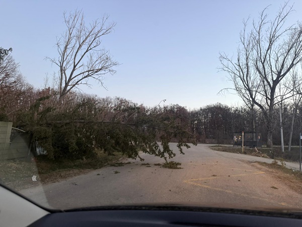 Noi avertizări de vreme rea: rafale de vânt de peste 120 km/h 1 ec1f3004 ac7a 426a 94dd 82dd41717feb - Noi avertizări de vreme rea: rafale de vânt de peste 120 km/h
