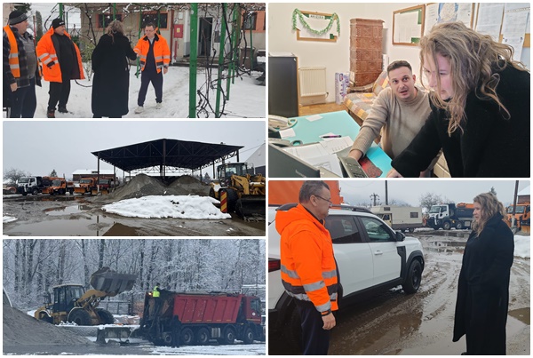 page 2 - Echipele de deszăpezire din Pitești, mobilizate. Câte tone de material antiderapant au fost folosite?