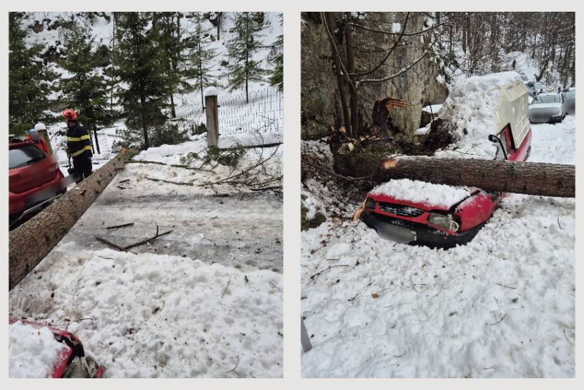copac cazut peste auto Arges