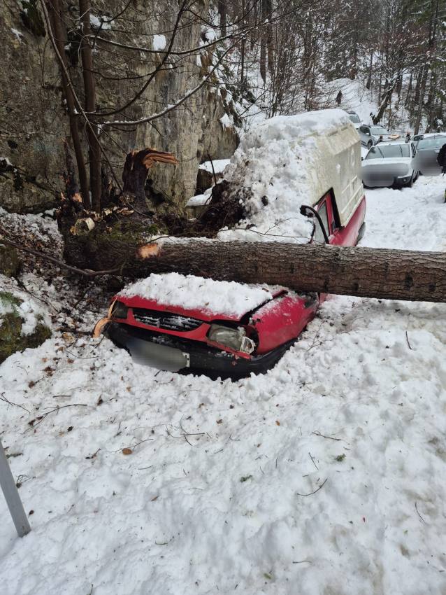 copac cazut peste auto Arges