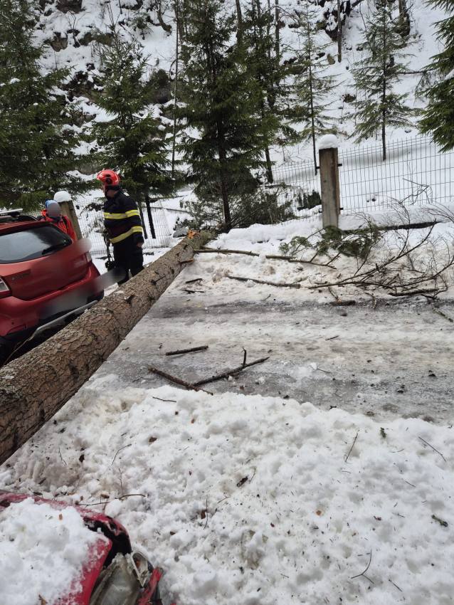 copac cazut peste auto Arges