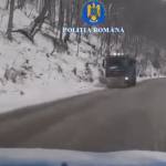 Cod portocaliu de vreme rea în Argeș. Recomandările polițiștilor argeșeni 10 cats 1 - Cod portocaliu de vreme rea în Argeș. Recomandările polițiștilor argeșeni