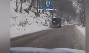 cats 1 - Cod portocaliu de vreme rea în Argeș. Recomandările polițiștilor argeșeni