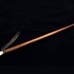 Un obiect rar din viața lui Eminescu, expus la Argeș: bastonul poetului, vedeta Zilei Culturii Naționale 10 Sursă foto: argesghid.ro