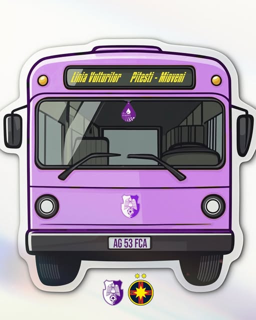 FC Argeș meci fotbal