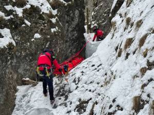 salva salvamont munte