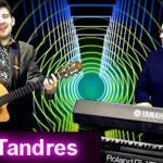 Andrei si Adrian Tase - TANDRES - terapie prin muzică, cu Andrei Tase