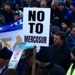 cats 1 - Fermierii români se alătură protestelor de la Strasbourg împotriva Acordului Mercosur