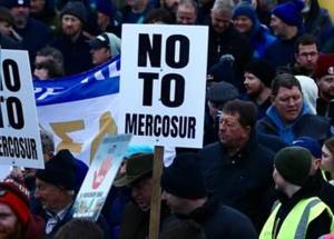 cats 1 - Fermierii români se alătură protestelor de la Strasbourg împotriva Acordului Mercosur