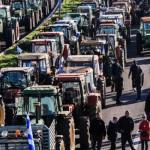 cats - Fermierii români se alătură protestelor de la Strasbourg împotriva Acordului Mercosur