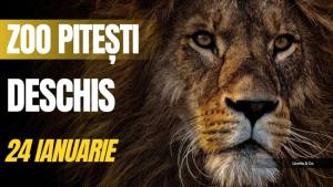 Sursă foto: FB primaria Municipiului Pitesti