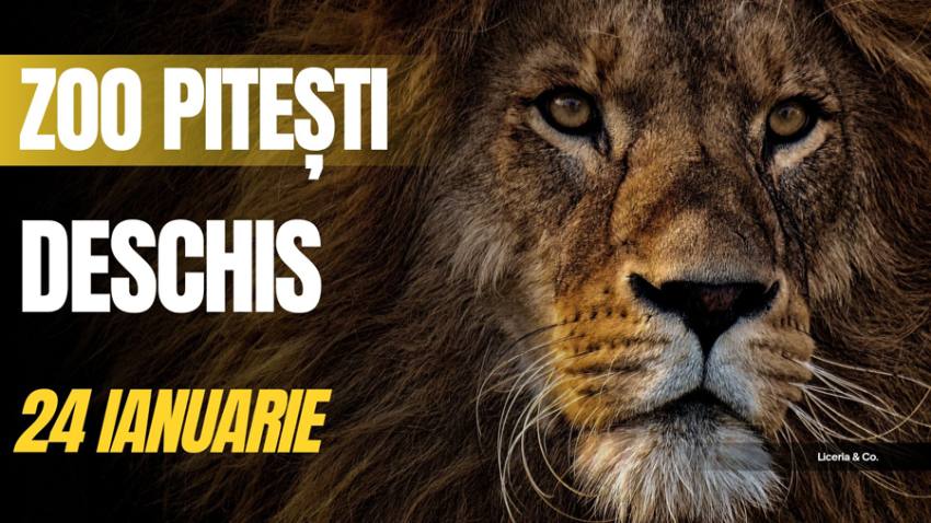 Sursă foto: FB primaria Municipiului Pitesti