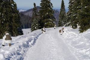 Sursă foto: FB MApN (Foto credit: Cristian Dobre).