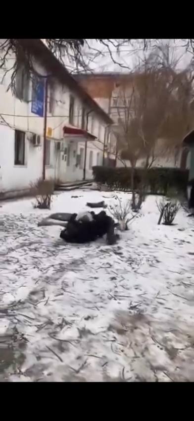 Violența între minori, un semnal de alarmă pentru autoritățile din Costești 3 la Costesti