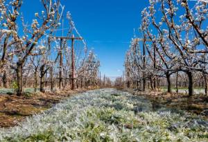Sursă foto: FB MADR