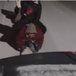 Distracția l-a costat scump! Tânăr de 19 ani amendat cu peste 5.000 de lei 10 cats 2 - Distracția l-a costat scump! Tânăr de 19 ani amendat cu peste 5.000 de lei