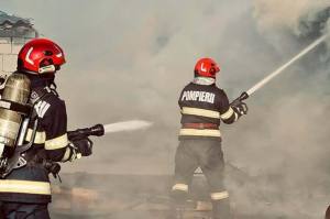 cats - Incendiu puternic în Albeștii de Argeș! Un adăpost de animale a luat foc