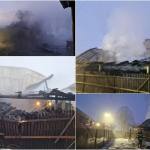 page - UPDATE: Incendiu devastator în Albeștii de Argeș! Adăpost de animale distrus de flăcări