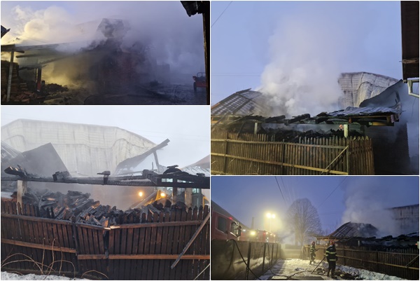 Incendiu adăpost de animale