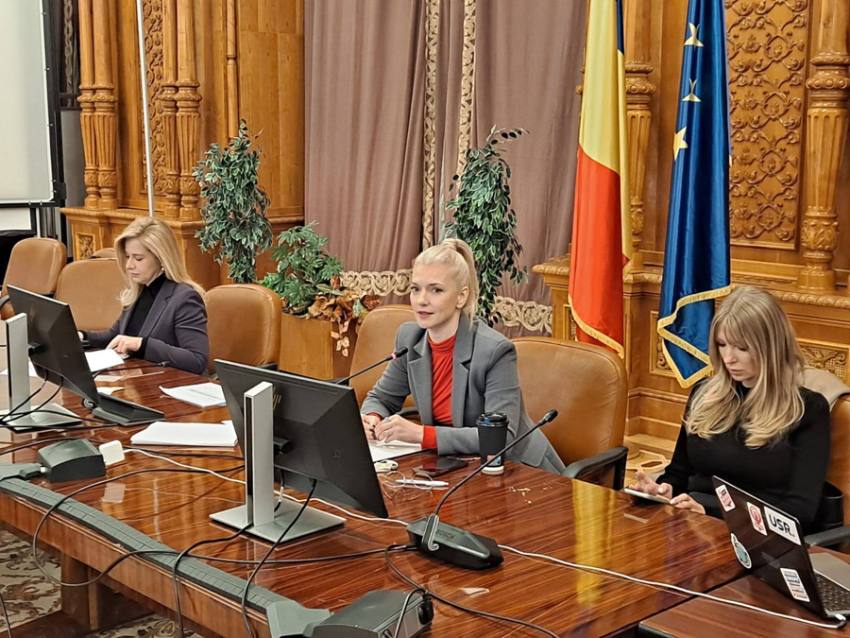 Alina gortghiu 19 Sursă foto:FB Alina Gorghiu