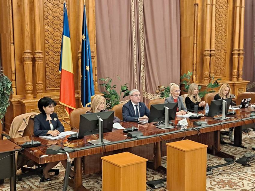 România spune stop femicidului: lege istorică adoptată în Comisia juridică! 1 Sursă foto:FB Alina Gorghiu