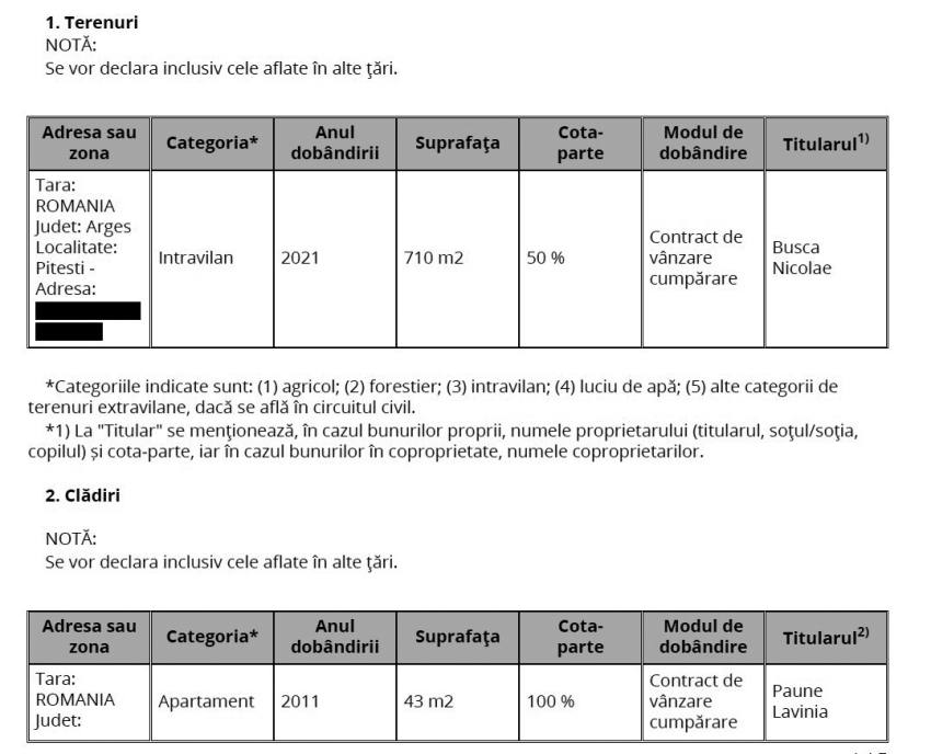 Cei doi militari din Piteşti care au denunţat-o pe contabila MAE – suspecţi în dosarul delapidării de 8,4 milioane lei 1 declaratie avere Lavinia Paune