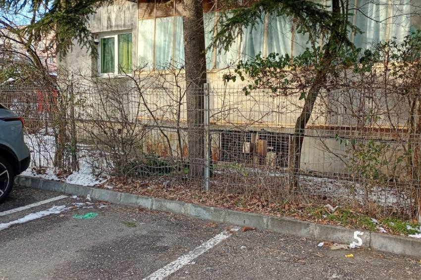 Atenție, piteșteni! Spațiile verzi din jurul blocurilor, verificate de Poliția Locală 1 Foto Poliția Locală Pitești