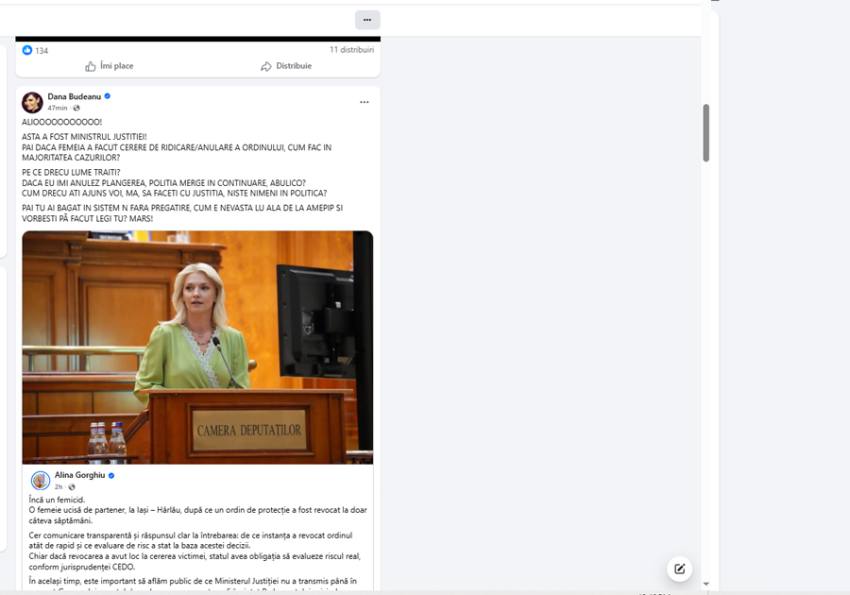 Sursă foto: FB DAna Budeanu