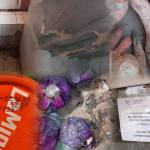 fe4b32b6 7251 49f7 8d4f e7623110e0ea - Magazinele din mediul rural, controlate de ANPC. Ce au găsit inspectorii